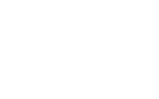kingston_logo