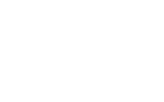 northern_bear_logo